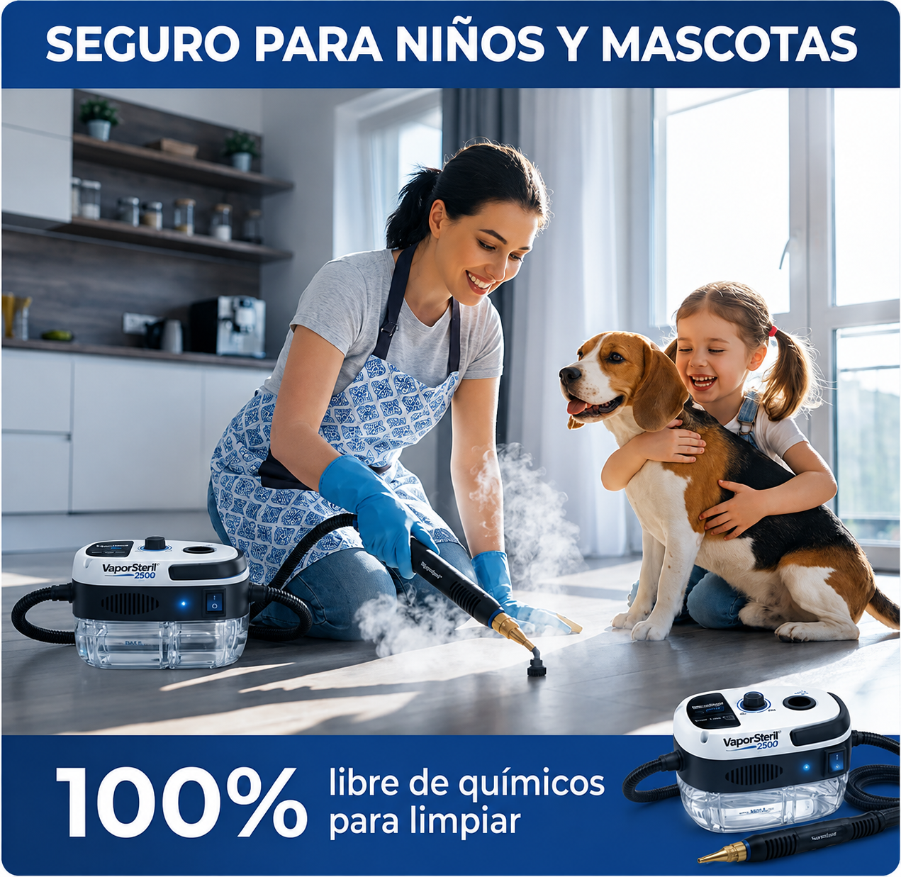 VaporSteril 2500 - Limpiador a Vapor Multifuncional de Alta Presión